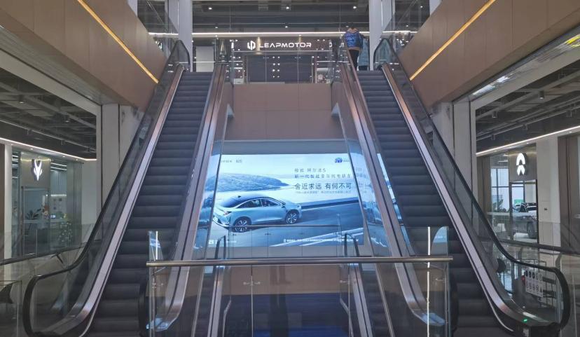 New Energy Vehicles (Chinese Independent Brands)