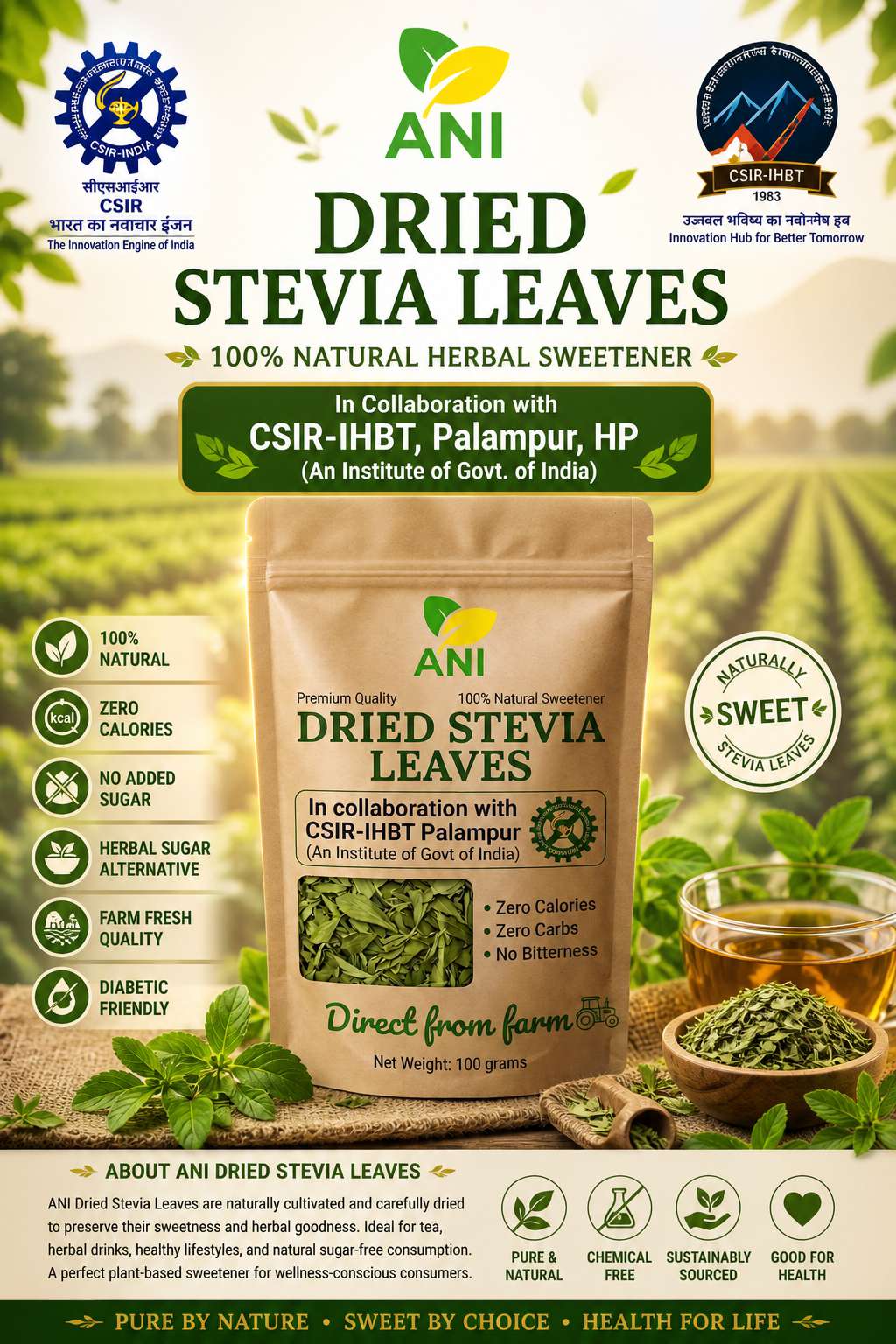Dried Stevia Leaves