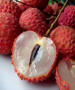 GI Tag Tezpur Litchi - Assam (India)