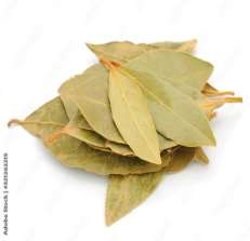 Bay Leaf - Siliguri and Meghalaya (India)