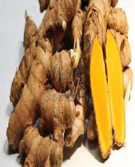 GI Tag -Lakadong Turmeric Finger and Powder - Meghalaya (India)