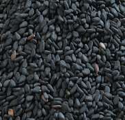 GI Tag Karbi Black Sesame Seeds- Assam (India)