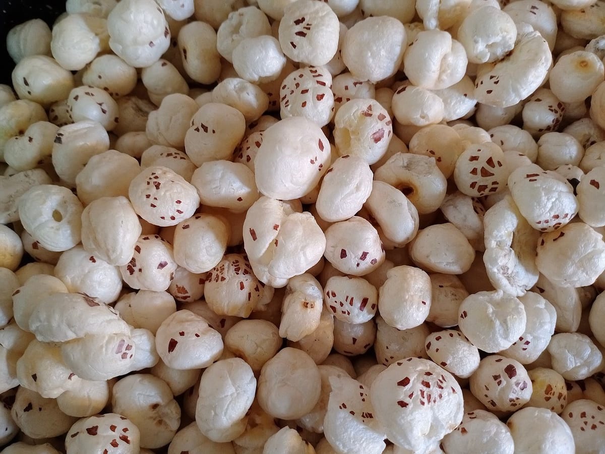 Premium Makhana (Fox Nuts)