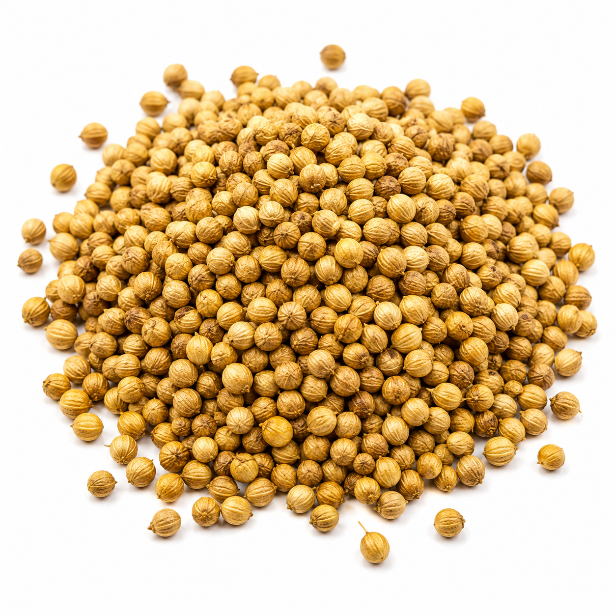 Coriander seeds