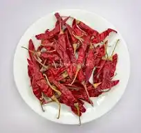 guntur red chilli