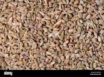 ajwain 