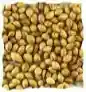 coriander