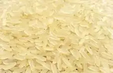 ir64 5 per broken parboiled rice