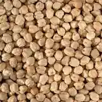 chick pea