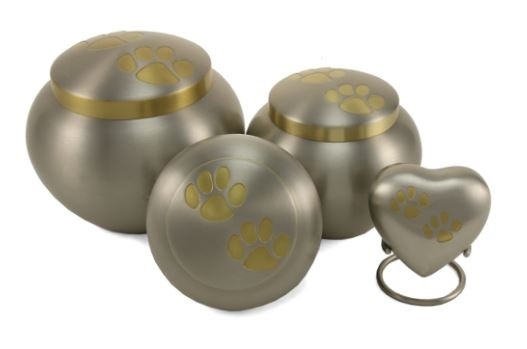 Pet Urn Oddessey