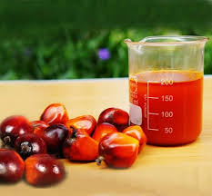 Crude Palm Oil (CPO)