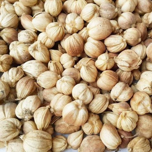 White Cardamom