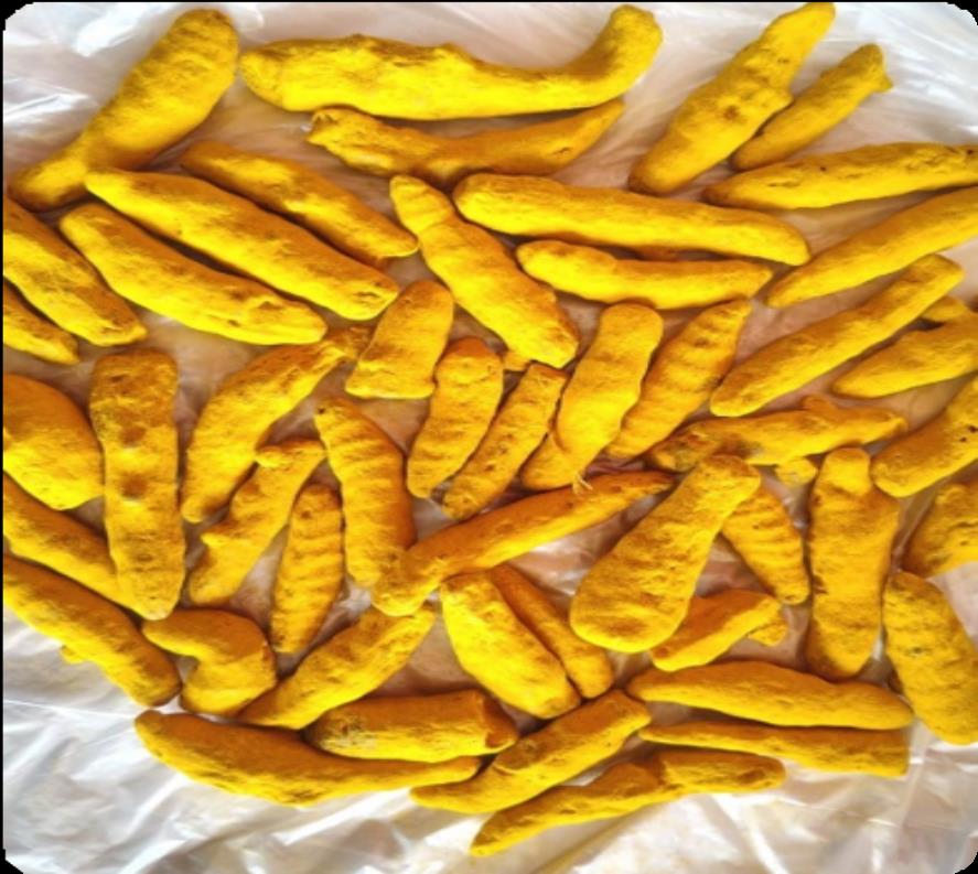 Turmeric Finger