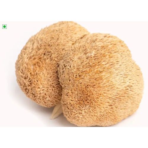 Dried Lion's Mane Mushroom