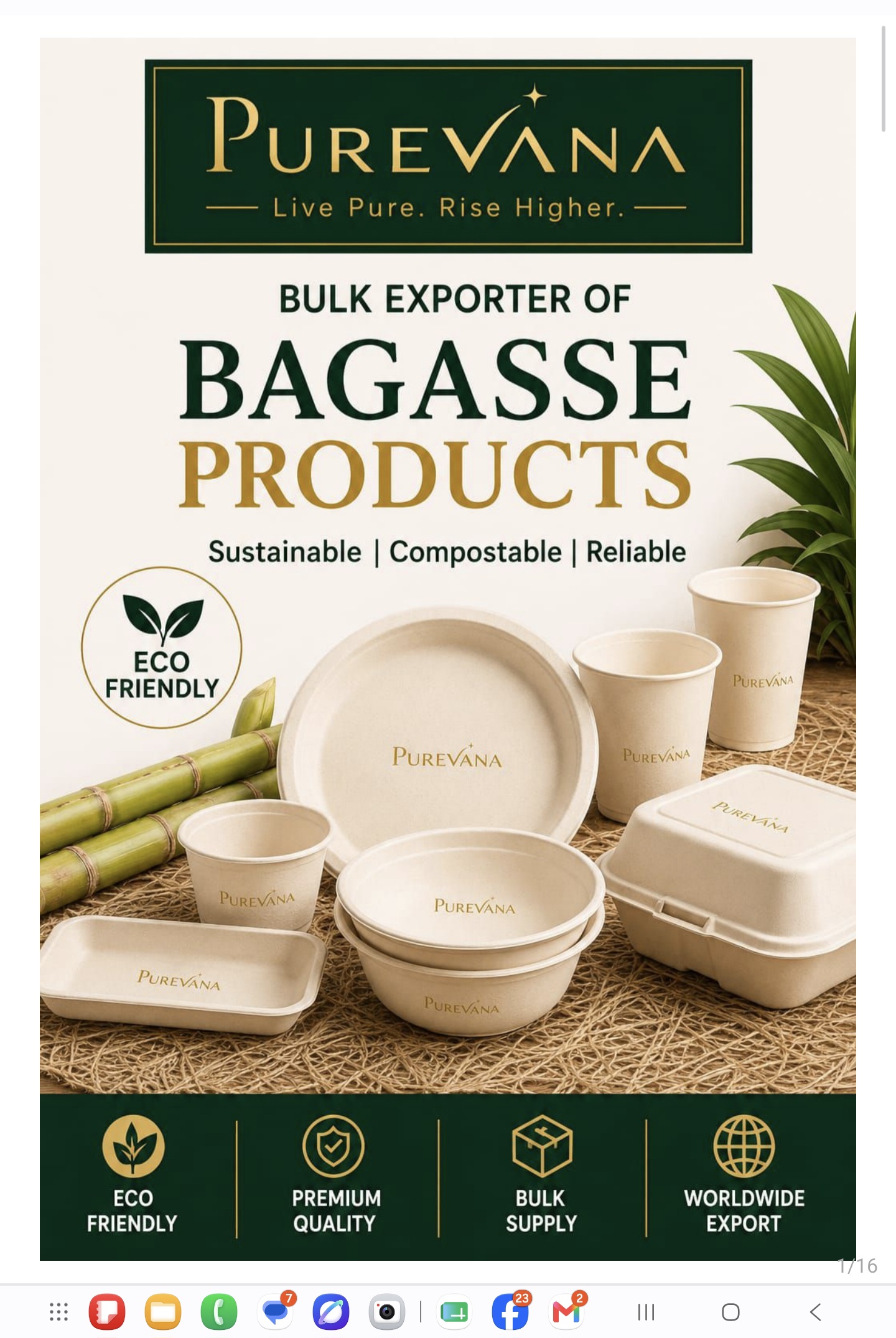 Eco-Friendly Bagasse Products