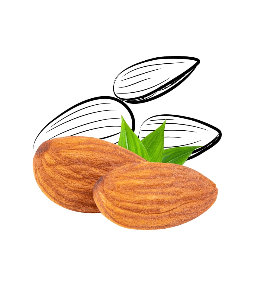 Dry Fruits and Tree Nuts
