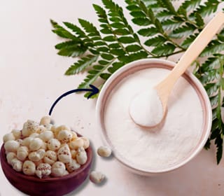 Makhana (Foxnut)