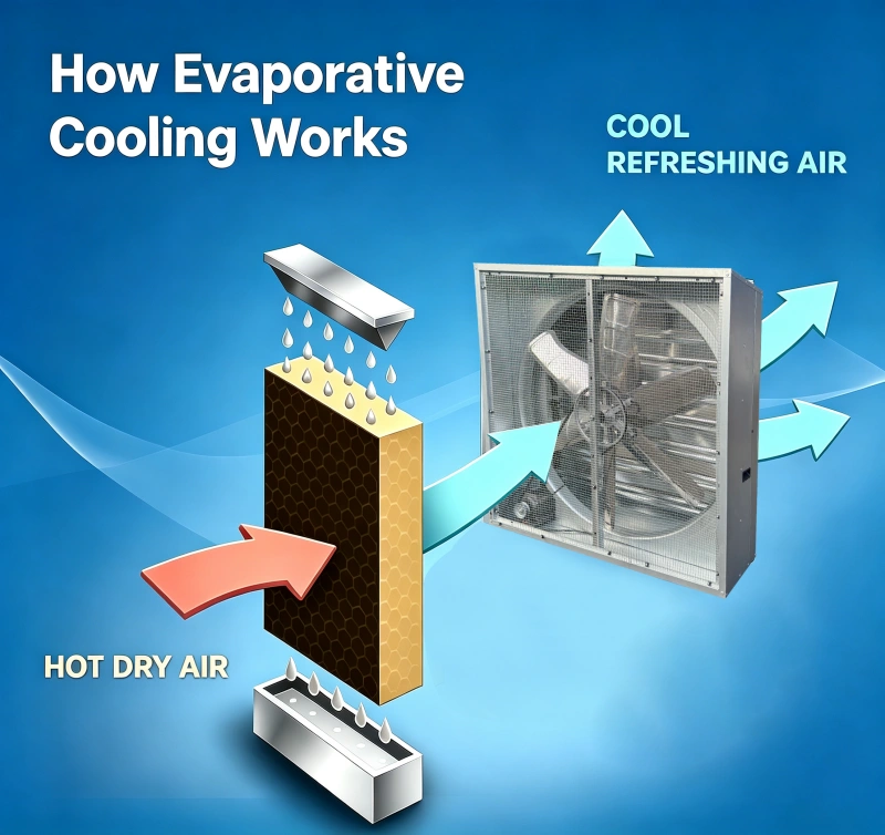 Evaporative Cooling Systems