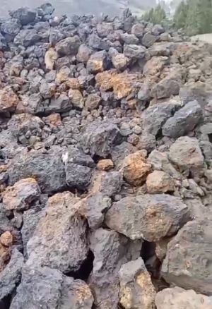 Metals and Minerals