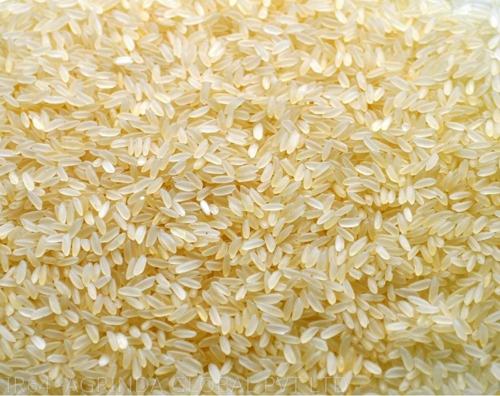 Rice