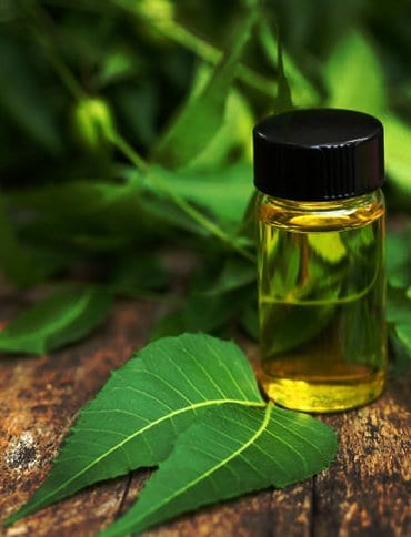 Organic Oils and Fats