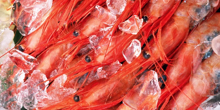 Frozen Seafood