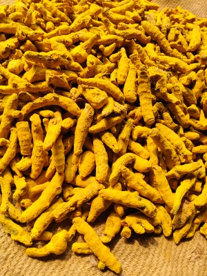 Turmeric Products
