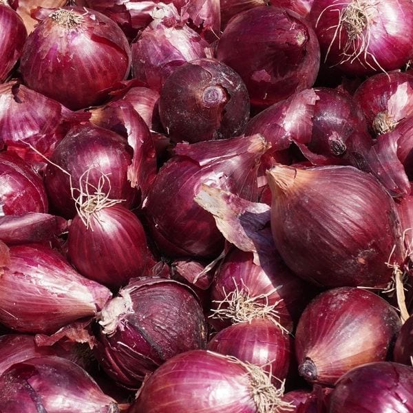 Fresh Vegetables