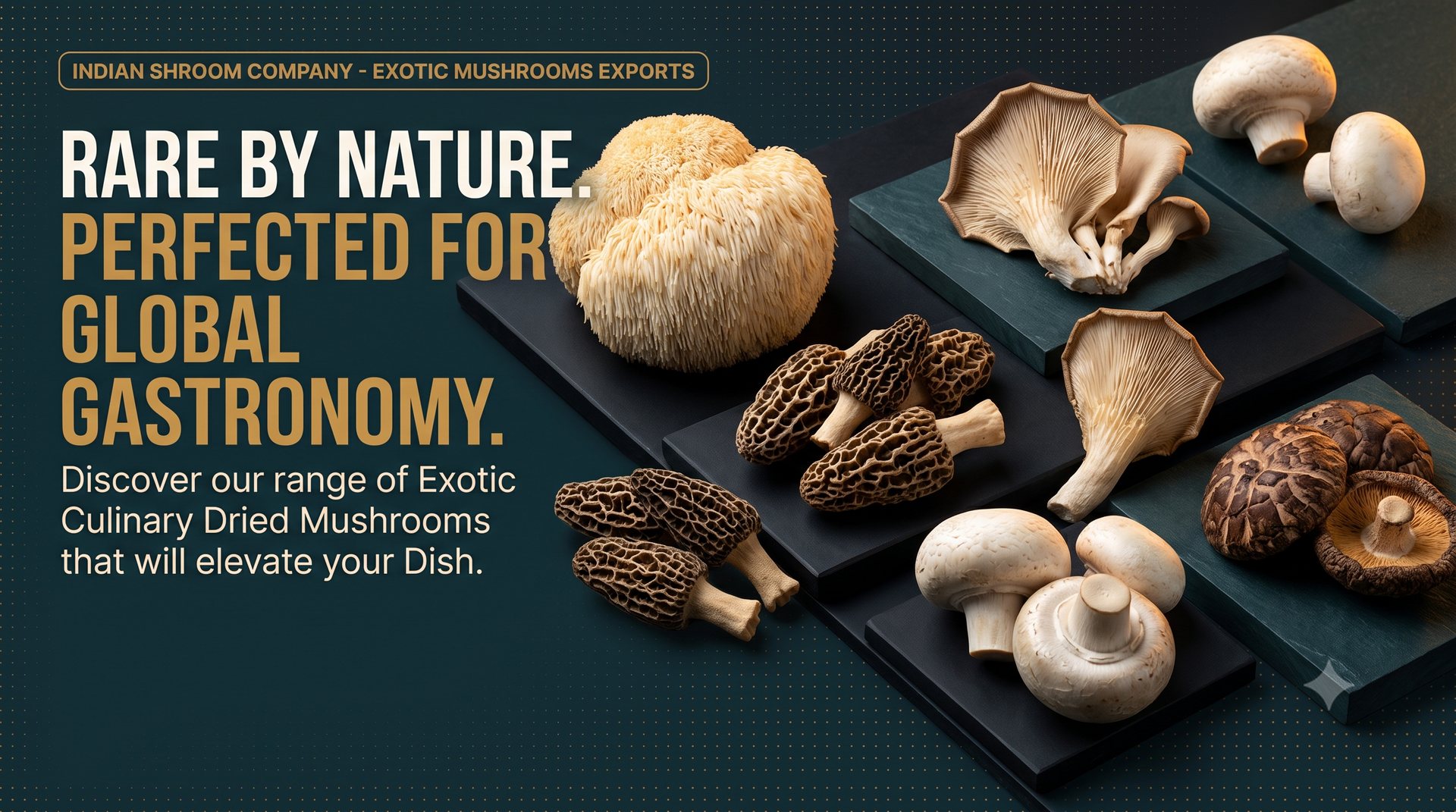 Fruits and Vegetables (including mushrooms, fungi, roots, tubers, fresh pulses, legumes, aloe vera, seaweeds, nuts and seeds)