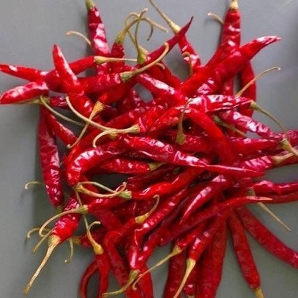 Teja (S17) Dry Red Chilli