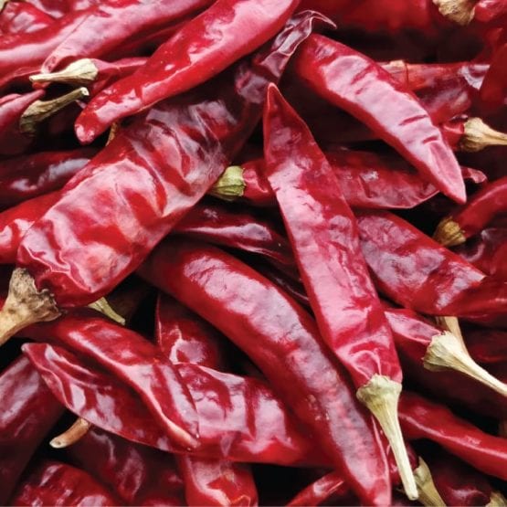 Guntur Dry Red Chilli