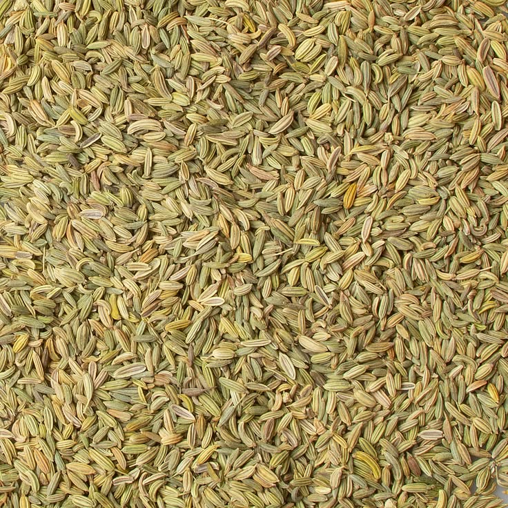 Fennel Seeds