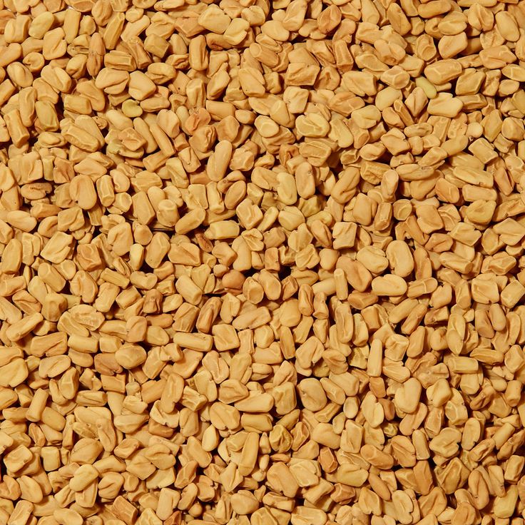 Fenugreek Seeds