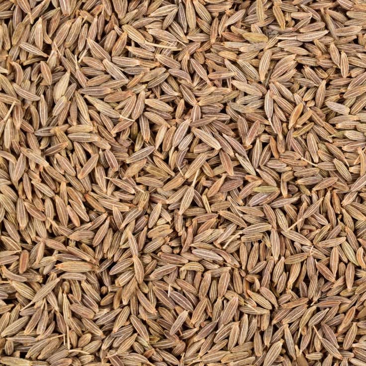 Cumin Seeds (Jeera)