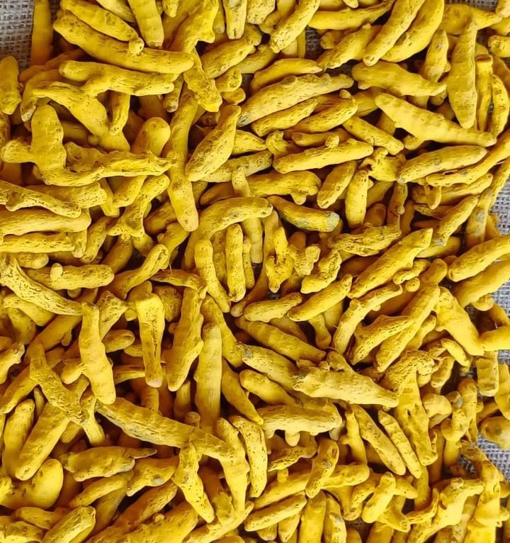 Turmeric Fingers