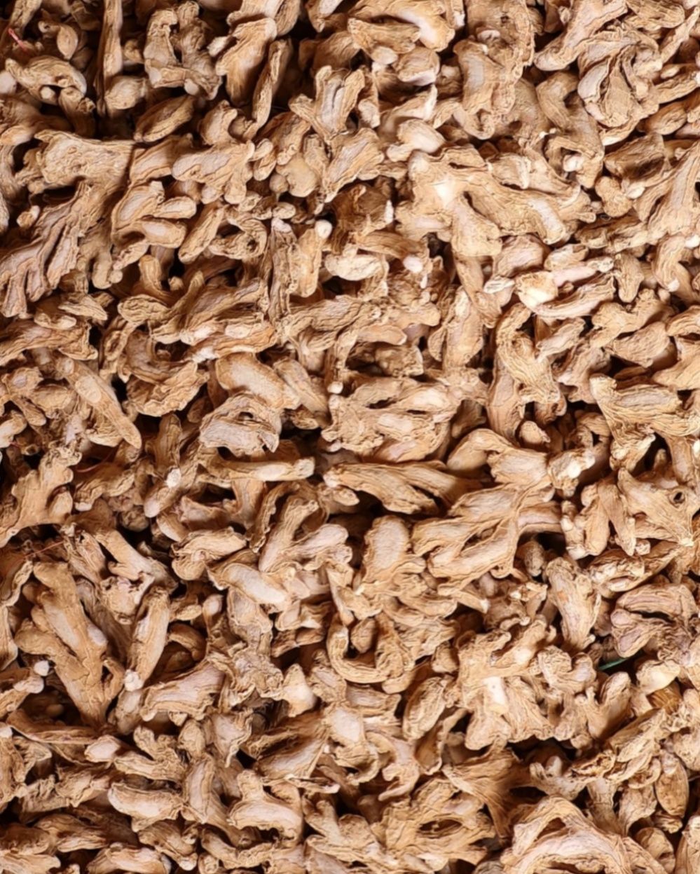 Dry Ginger