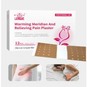 Wengjing Zhitong Gao (Warming & Pain-Relief Medicated Plaster)