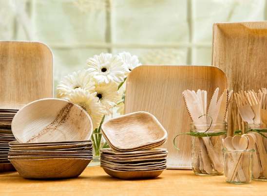 Biodegradable Tableware