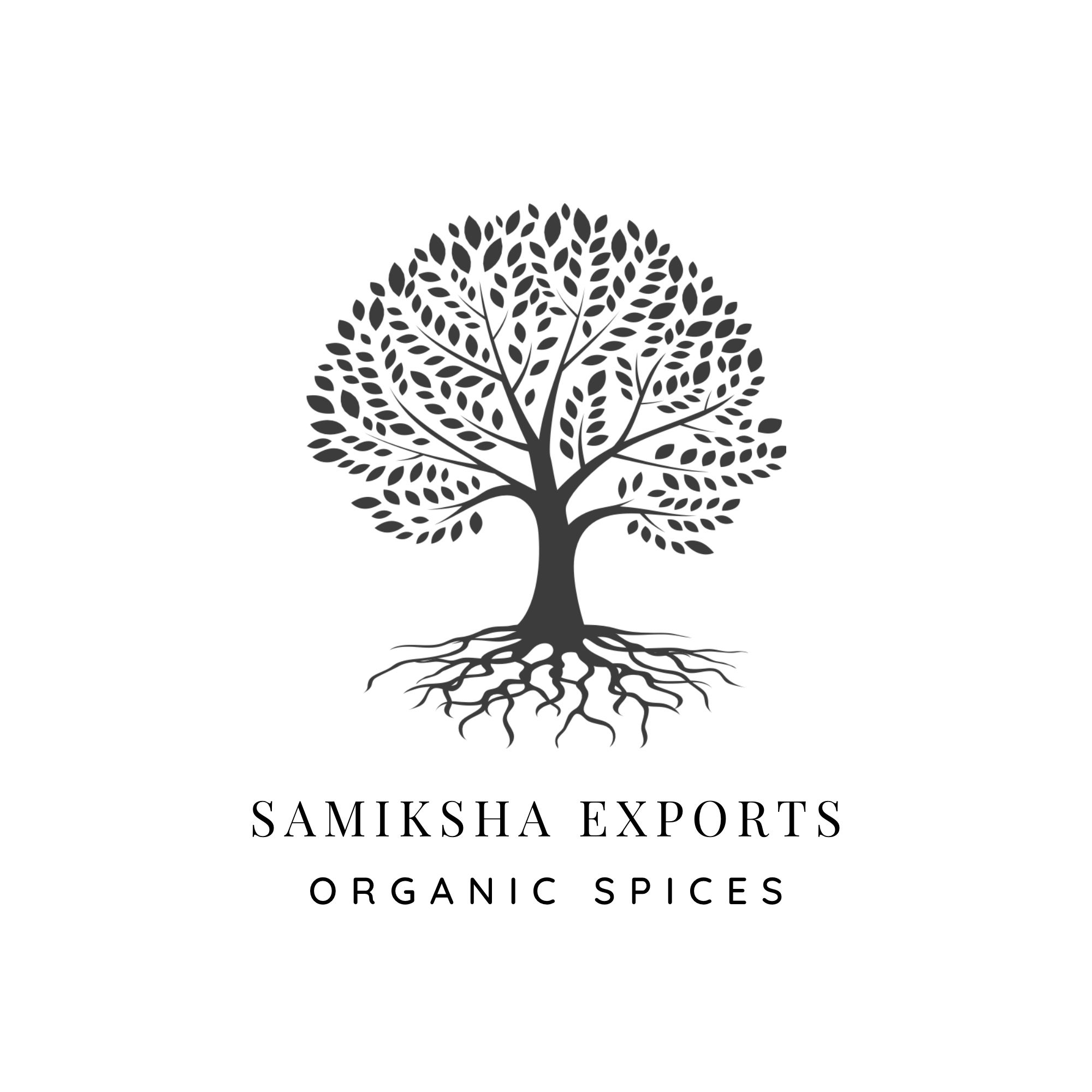Puneet Verma logo