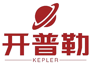 涛美斯 logo