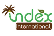 Index international logo
