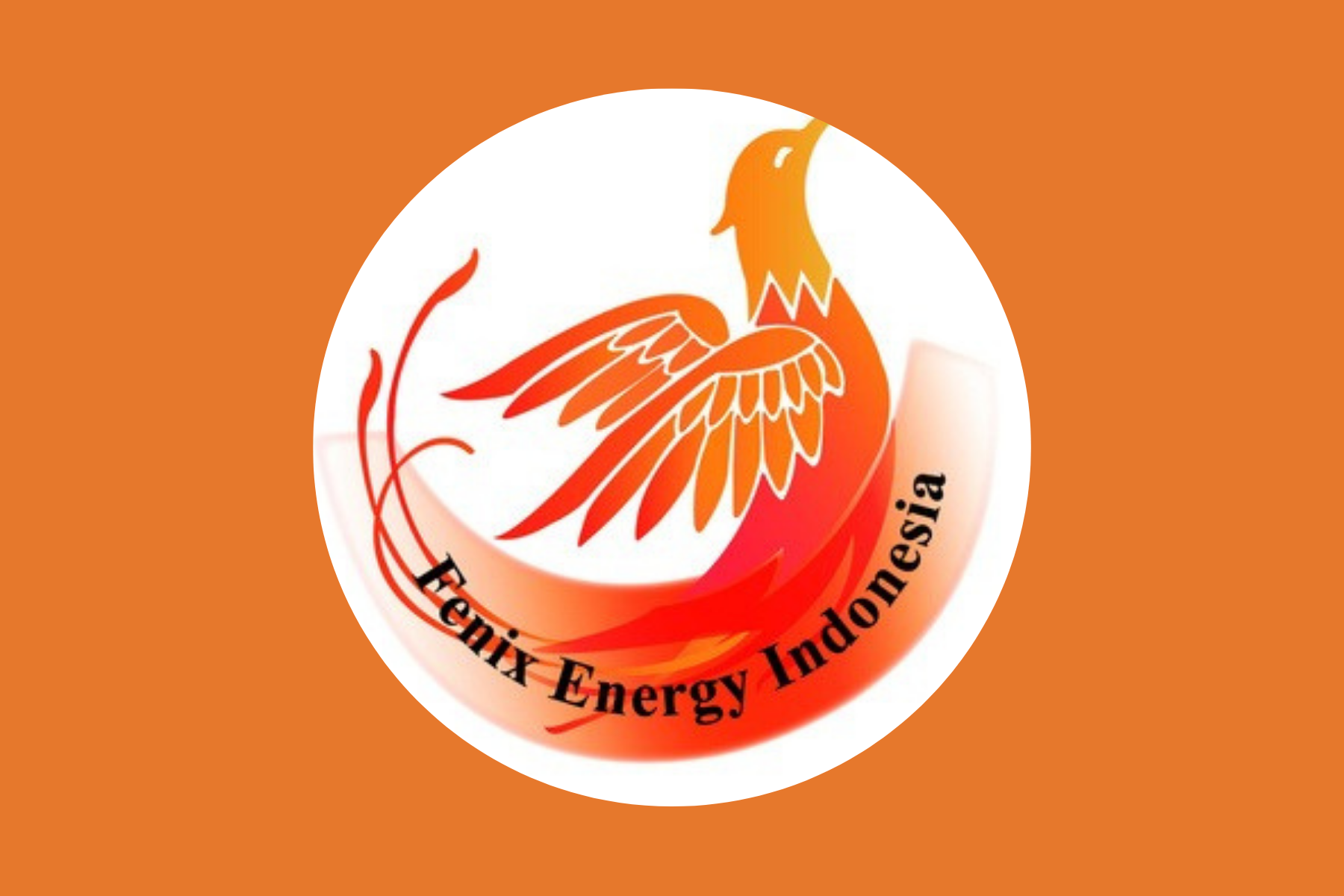 PT FENIX ENERGY INDONESIA logo