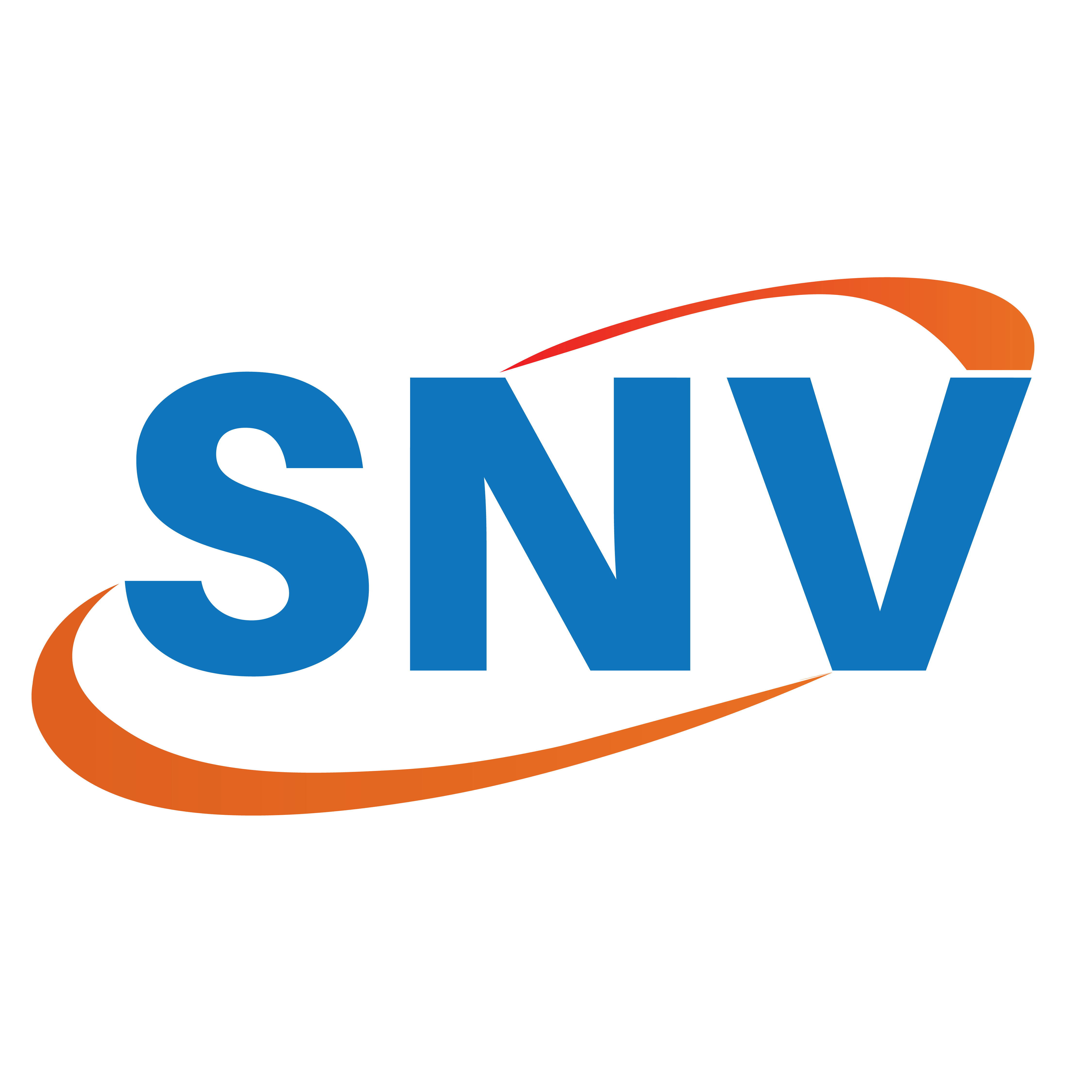 SNV STAMPING SOLUTIONS PVT LTD logo