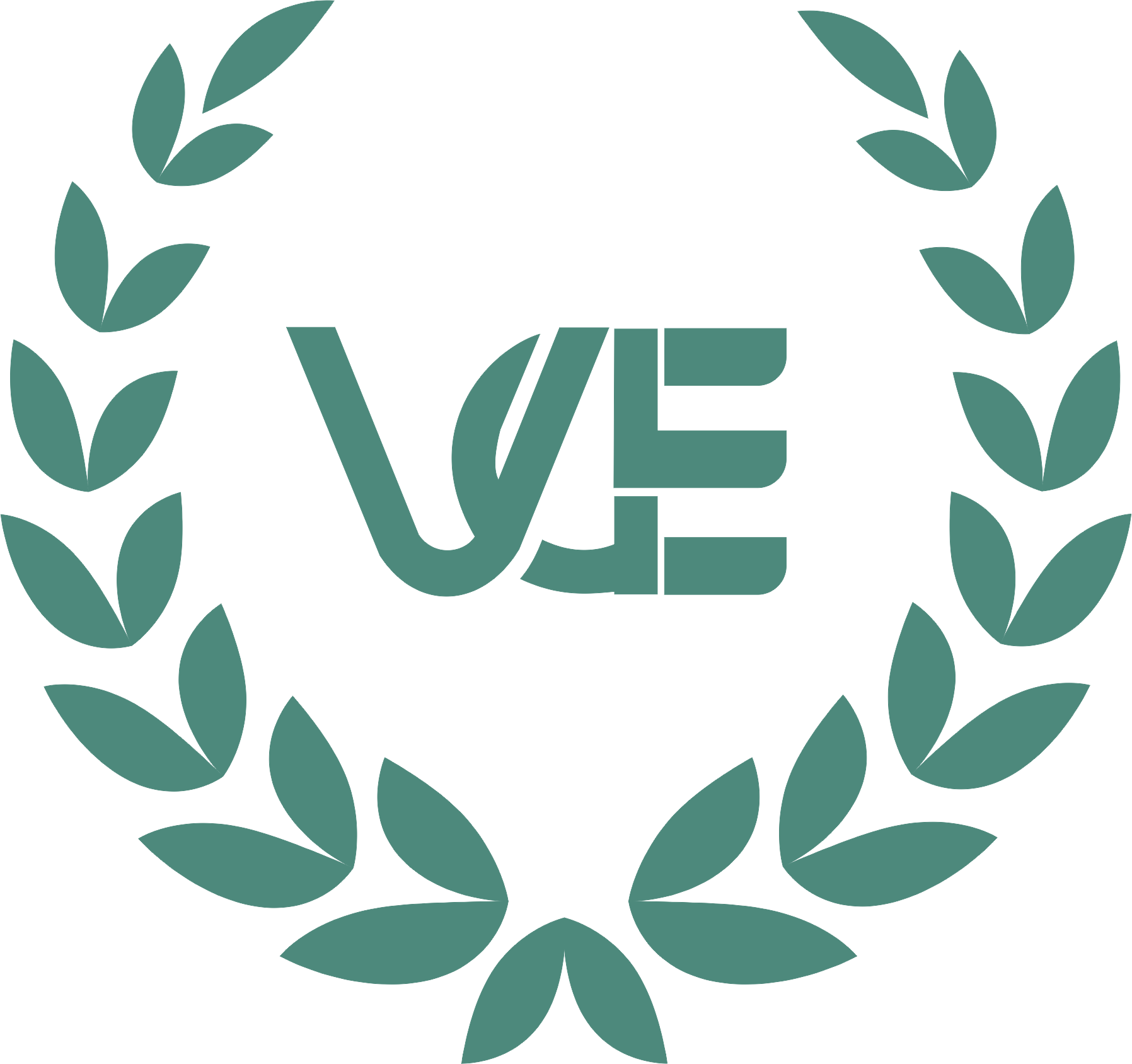 www.visanigroups.co.in logo