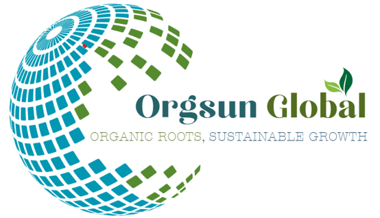ORGSUN GLOBAL logo