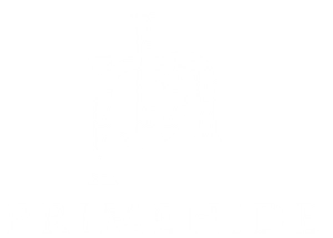 PRIMEHIDE logo