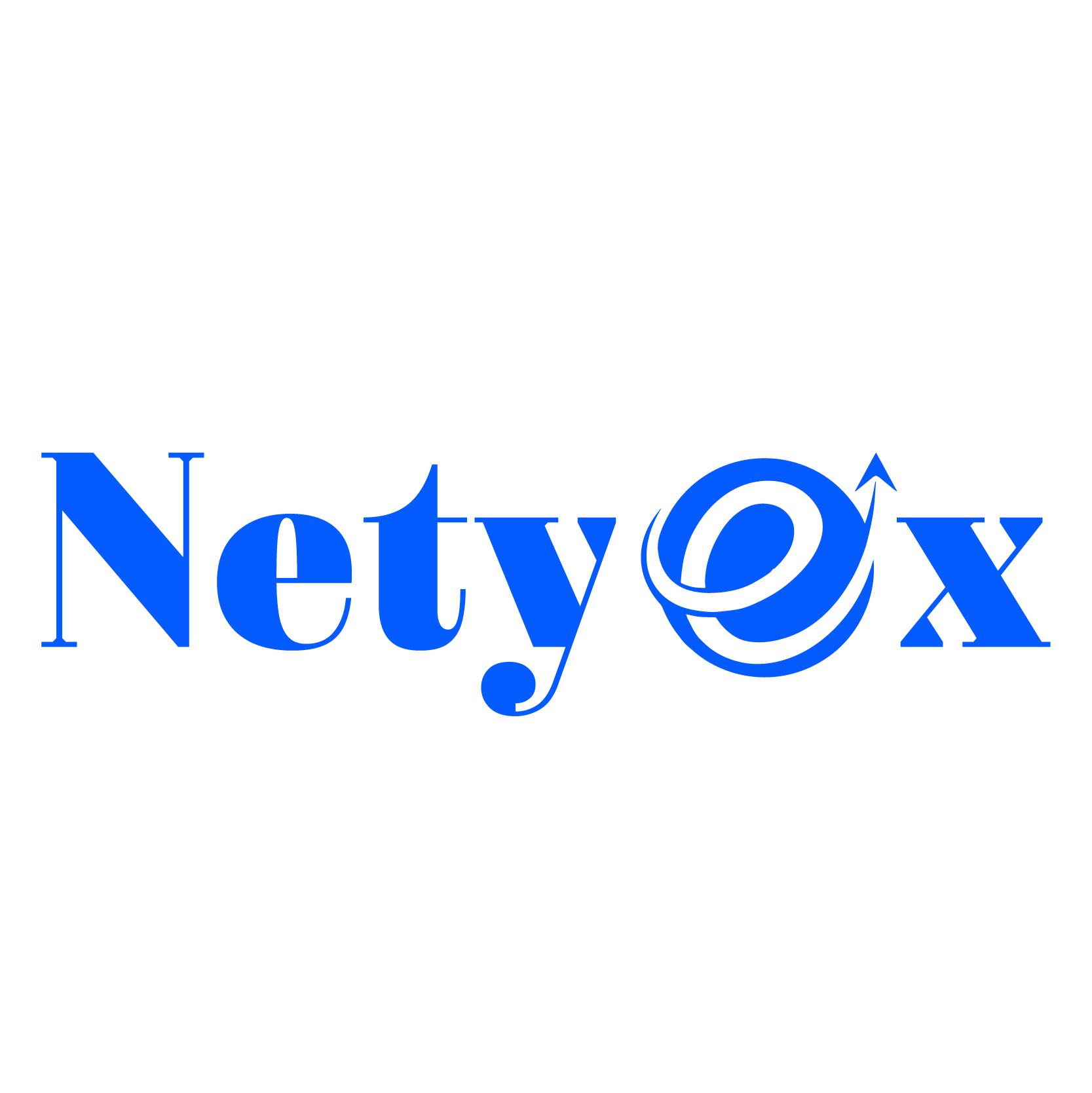 Netyex logo