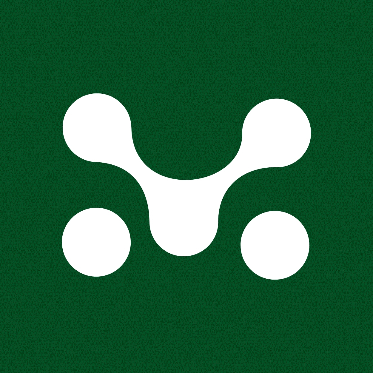 Merconte Exim LLP logo