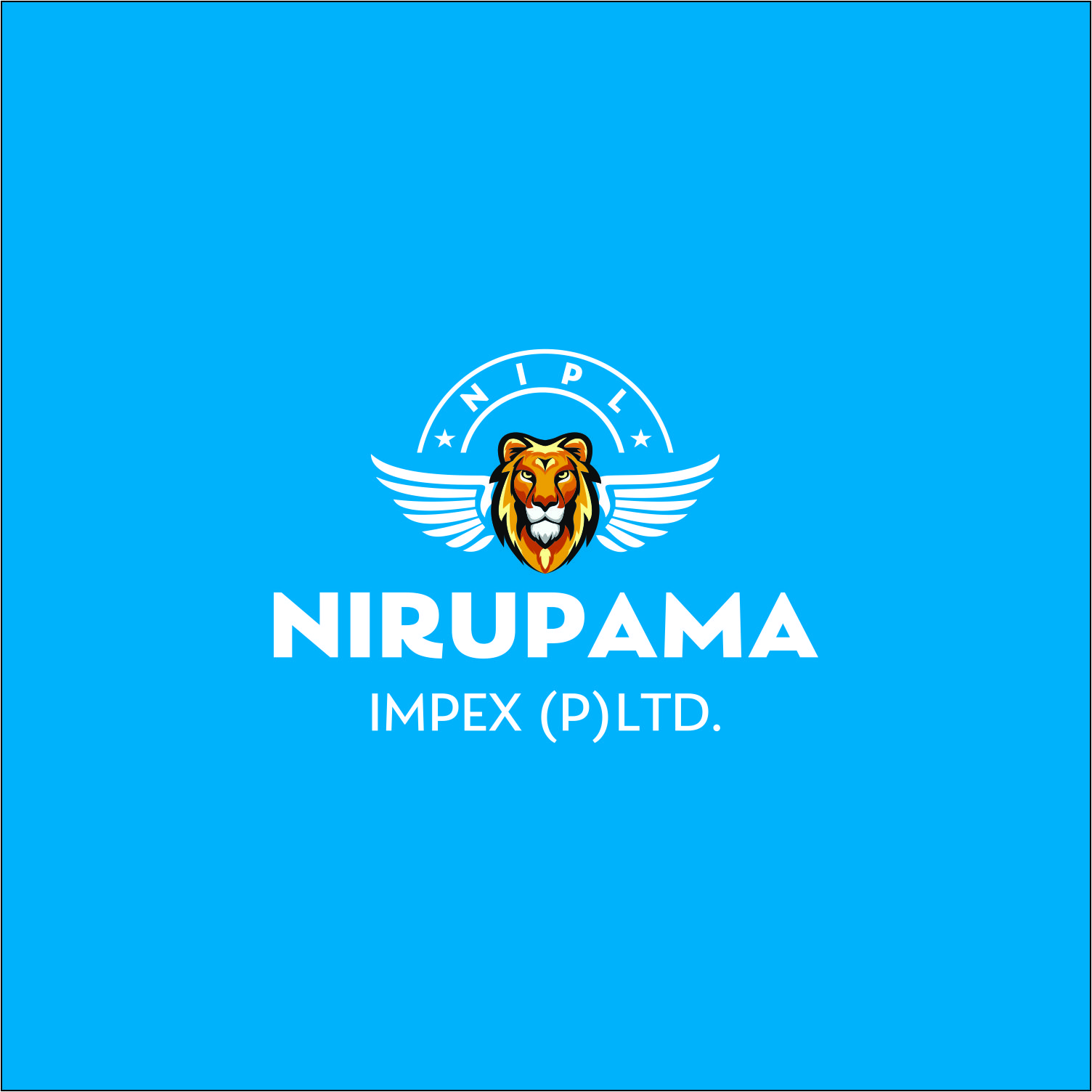 Nirupama Impex Private Limited logo